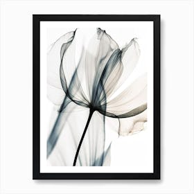 Black And White Flower Silhouette 5 Art Print