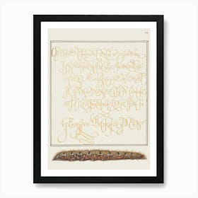 Larva Of An Oak Egger Moth From Mira Calligraphiae Monumenta, Joris Hoefnagel Art Print