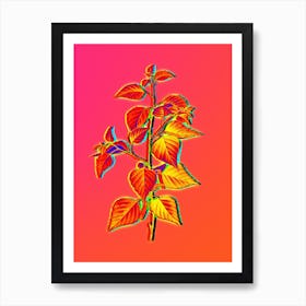 Neon Black Birch Botanical in Hot Pink and Electric Blue n.0338 Art Print