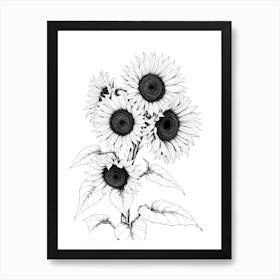 Sunflowers 2 Art Print