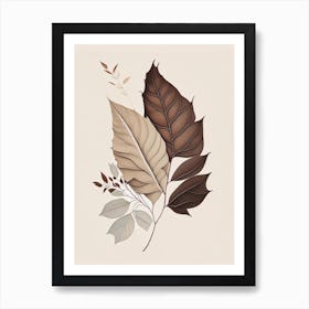 Ash Leaf Earthy Line Art Art Print