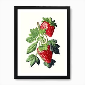 Strawberry Plant,, Fruit, Vintage Botanical Drawing Art Print