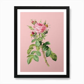 Vintage Lelieur's Four Seasons Rose Botanical on Soft Pink n.0793 Art Print