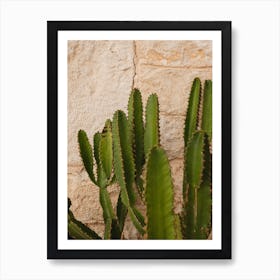 Cactus Against A Stone Wall, Summer Vibes Art Print