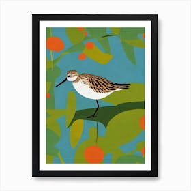 Dunlin Midcentury Illustration Bird Art Print