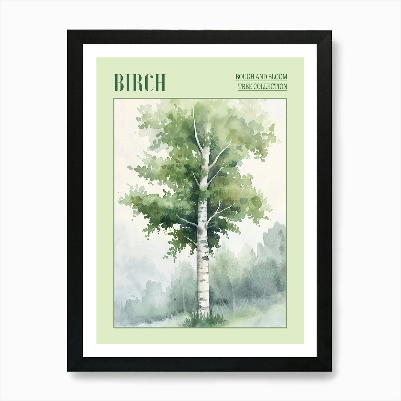 Birch Tree Atmospheric Watercolour Framed Wall Art Poster Canvas Print Picture - Picture 2 of 4