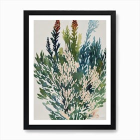 Acropora Jacquelineae Vintage Graphic Watercolour Art Print