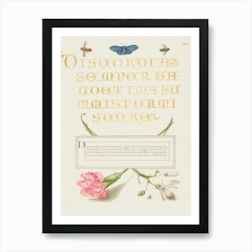 Insects, Carnation, And Judas Tree From Mira Calligraphiae Monumenta, Joris Hoefnagel Art Print