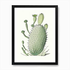 Opuntia Fragilis William Morris Inspired Art Print