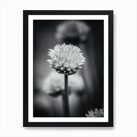 All Alone With My Thoughts Black And White 2 Art Print