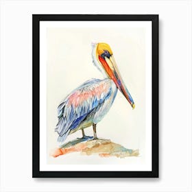 Pelican Colourful Watercolour 4 Art Print
