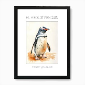 Humboldt Penguin Stewart Island Ulva Island Watercolour Painting 1 Poster Art Print