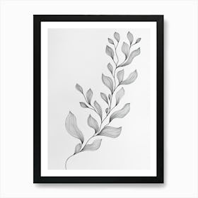 Eucalyptus 2 Art Print