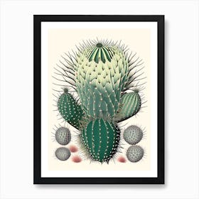 Melocactus Cactus William Morris Inspired 1 Art Print