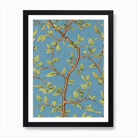 Cinnamon Tree 2 tree Vintage Botanical Art Print