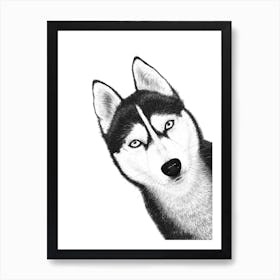 Black Husky Art Print