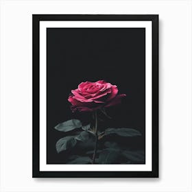 Black Rose 8 Art Print