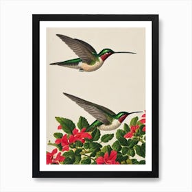 Hummingbird James Audubon Vintage Style Bird Art Print