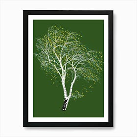 Birch Tree Art Print