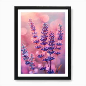 Lavender In Pink Light No 1 Art Print