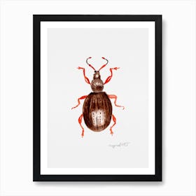 Otiorhynchus ovatus or the strawberry root weevil, watercolor artwork Art Print