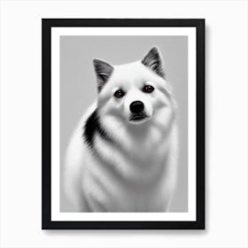 American Eskimo Dog B&W Pencil Dog Art Print