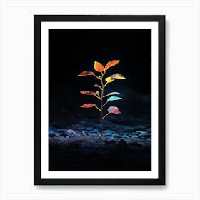 Tree In The Dark 27 Art Print