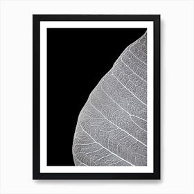 Veins Of Life 1 Black And White Art Print