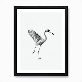 Greater Flamingo B&W Pencil Drawing 2 Bird Art Print