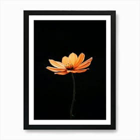 Single Orange Flower On Black Background 1 Art Print