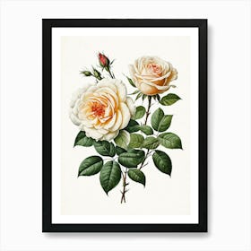 Vintage Galleria Style Rose Art Painting 20 Art Print