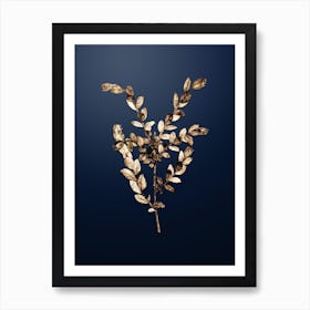 Gold Botanical Creeping Willow on Midnight Navy n.2183 Art Print