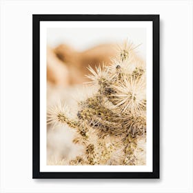 Cholla Cactus Scenery Art Print