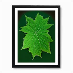 Nettle Leaf Vibrant Inspired 1 Art Print