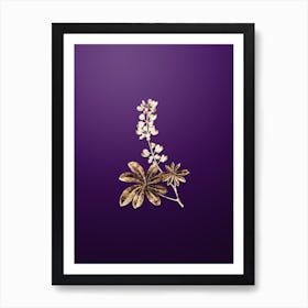 Gold Botanical Half Shrubby Lupine Flower on Royal Purple n.3489 Art Print