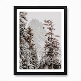 Winter Pine Trees Art Print