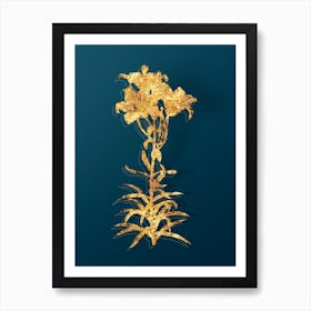 Vintage Fire Lily Botanical in Gold on Teal Blue n.0139 Art Print