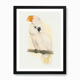 Cockatoo Art Print