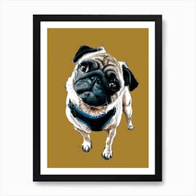 Teddy The Pug On Burnt Gold Art Print