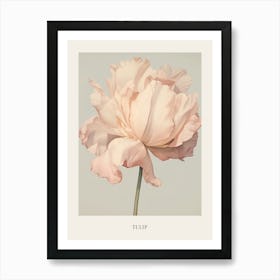 Floral Illustration Tulip 4 Poster Art Print