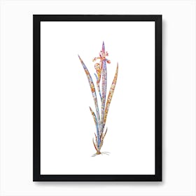 Stained Glass Yellow Banded Iris Mosaic Botanical Illustration on White n.0054 Art Print