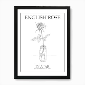 English Rose In A Jar Line Drawing 4 Poster Art Print