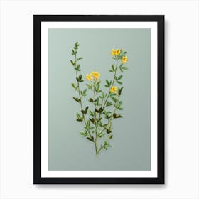 Vintage Yellow Jasmine Flowers Botanical Art on Mint Green n.0469 Art Print
