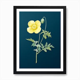 Vintage Welsh Poppy Botanical Art on Teal Blue n.0601 Art Print