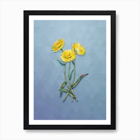 Vintage Helichrysum Flower Branch Botanical Art on Summer Song Blue n.1917 Art Print