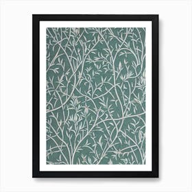 White Willow 2 tree Vintage Botanical Art Print