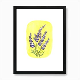 Lavender Flowers 1 Art Print