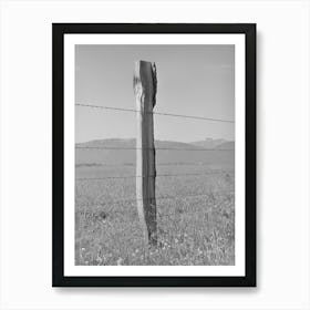 Fence On Cruzen Ranch,Valley County, Idaho, Aaa (Agricultural Adjustment Administration) Has Painted Out This Art Print