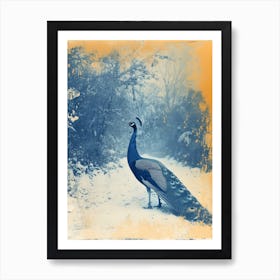 Orange & Blue Peacock In A Snow Scene 3 Art Print