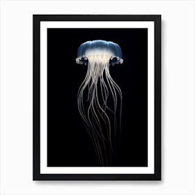 Comb Jellyfish Transparent 3 Art Print